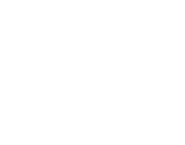 The Sound Wall