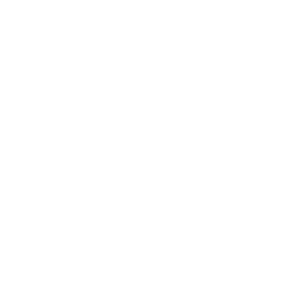 The Sound Wall